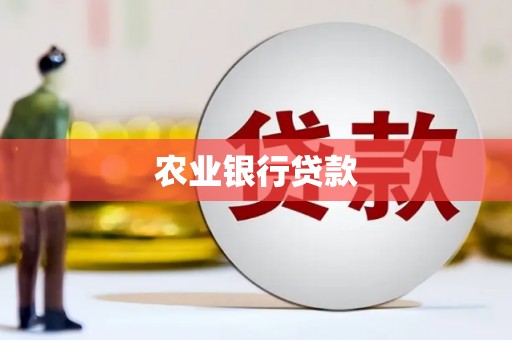 龙城农业银行贷款