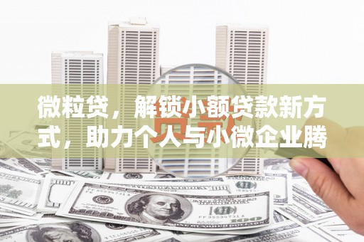 和布克赛尔微粒贷，解锁小额贷款新方式，助力个人与小微企业腾飞
