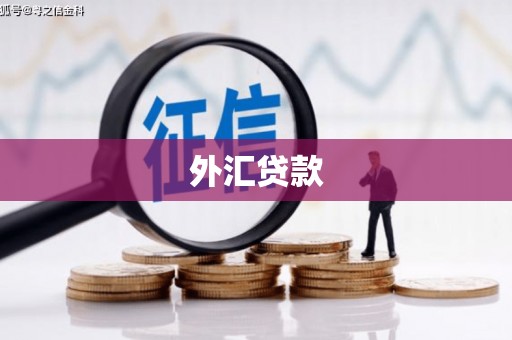 市南外汇贷款