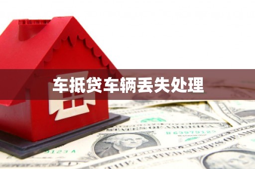 连云港车抵贷车辆丢失处理